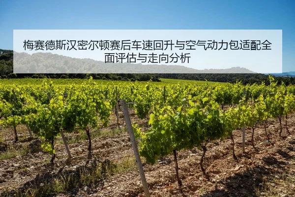 梅赛德斯汉密尔顿赛后车速回升与空气动力包适配全面评估与走向分析